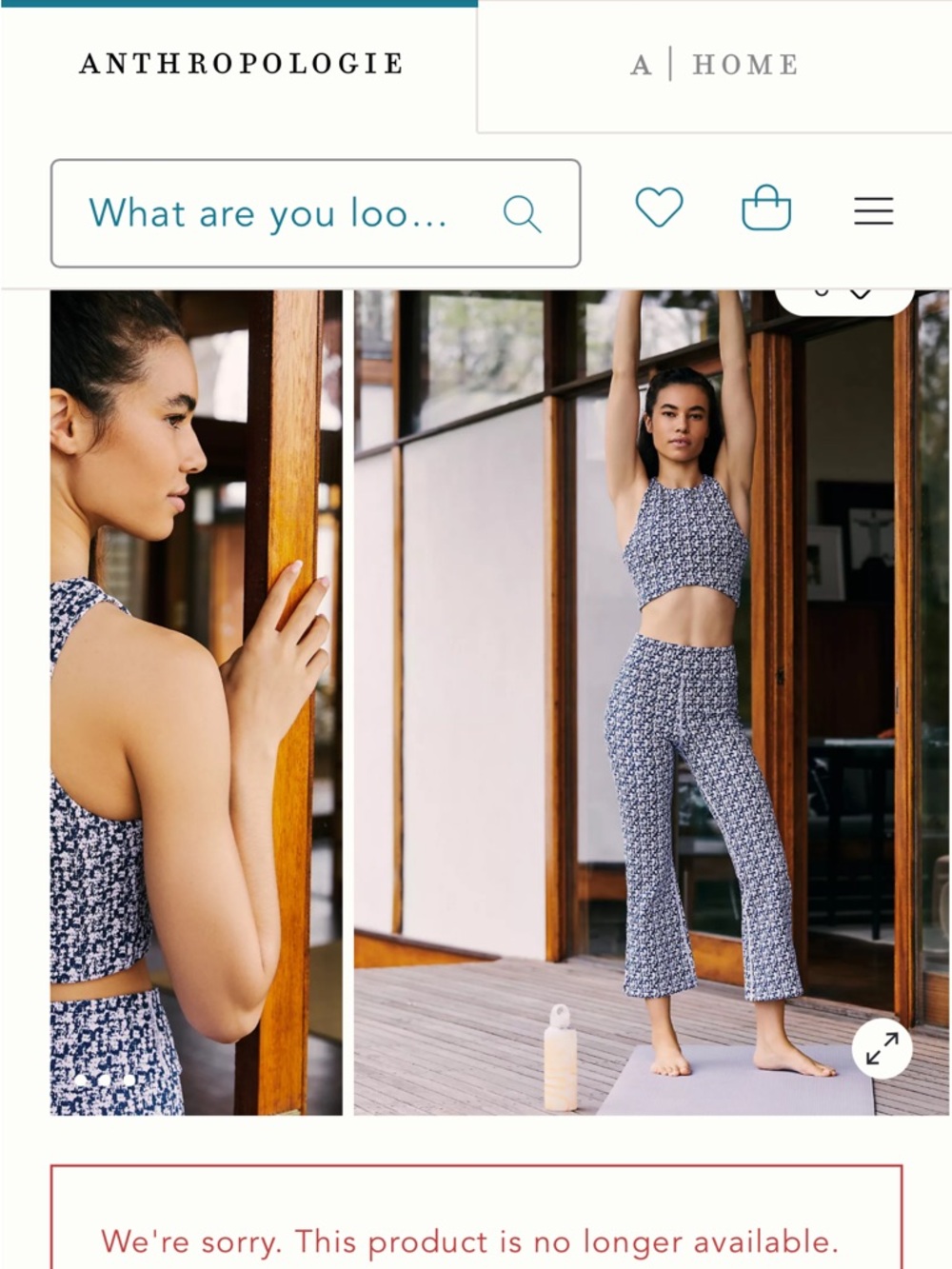 The upside Oceania zen pants NWT